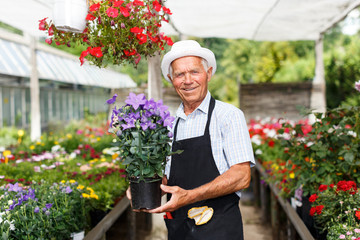 Older man in greenhouse