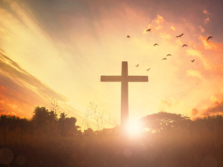 Wall Mural - concept conceptual black cross religion symbol silhouette in grass over sunset or sunrise sky