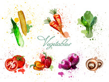 Watercolor Vegetables Set Vector. Delicious Tomatoes, Mushrooms And Green Leaves