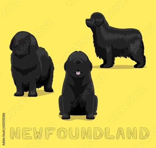 Cuadros en Lienzo Dog Newfoundland Cartoon Vector Illustration