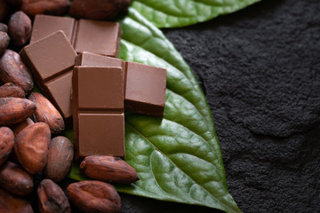 Wall Mural - Chocolate bar and cocoa beans on a dark background