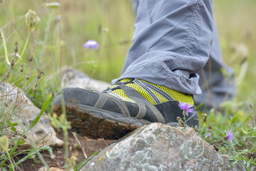 Walking shoes. All terrain shoes