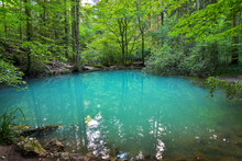 Beautiful Pond In The Woods, Ochiul Beiului, Caras Severin County, Romania