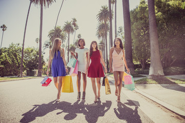 Wall Mural - Beautiful women shopping