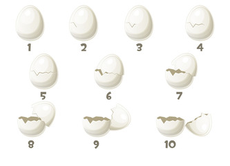 10 Steps animations broken egg in vector