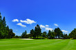 © show999 - landscape japanese golf course in chiba