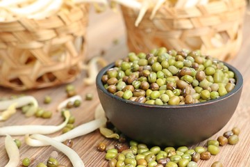 Wall Mural - Bean sprouts with seed