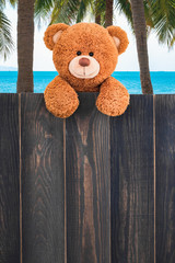 Wall Mural - cute teddy bear