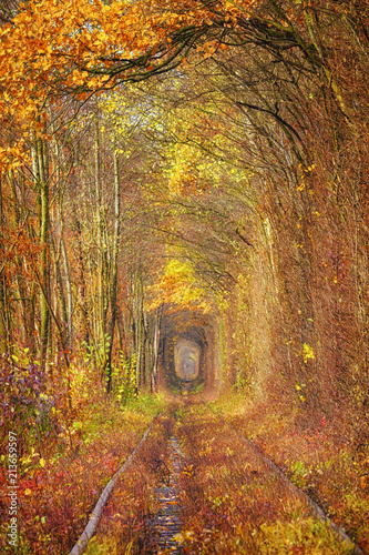 Dekoracja na wymiar  jesienny-tunel-milosci-w-klevan-na-ukrainie