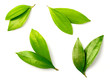 © Amy Lv - fresh cinnamon leaves isolated on the white background, top view