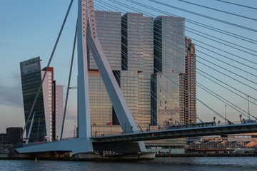 Cityscape of Rotterdam at sunset with the Erasmus bridge in the foreground and high rise buildings of the financial district in the Dutch city in the background