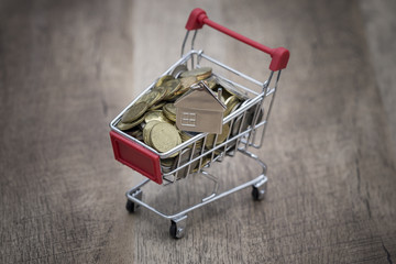 key chain shape of the house is above the coin in the trolley, the concept of home buying and selling.