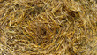 hay texture pattern full frame background