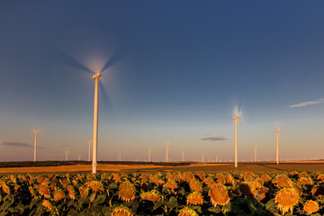 wind power turbine