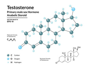 Wall Mural - Testosterone. Primary Male Sex Hormone. Structural Chemical Molecular Formula and 3d Model. Atoms are Represented as Spheres with Color Coding. Vector Illustration