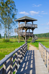 Canvas Print - Watchtower in Bialowieza forest, Poland