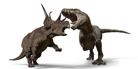 Wall Mural - t-rex vs diabloceratops