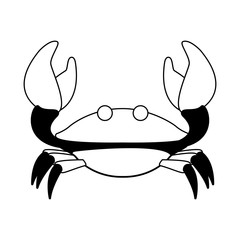 Crabster Sea animal vector illustration graphic design