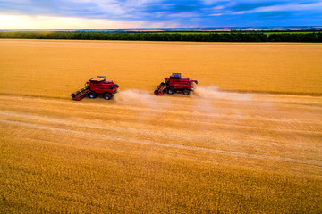 wheat harvesting. Two red harvesters working in the field. Combine harvester agricultural machine collecting golden ripe wheat on the field. View from above.