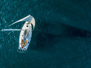 Poster - aerial photo of sailboat yacht top view, isolated on the sea texture. participant of sea regatta