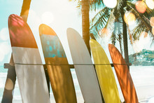 Many Surfboards Beside Coconut Trees At Summer Beach With Sun Light And Blue Sky Background.