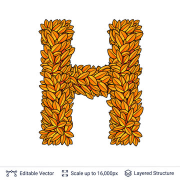 Letter H sign of autumn leaves.