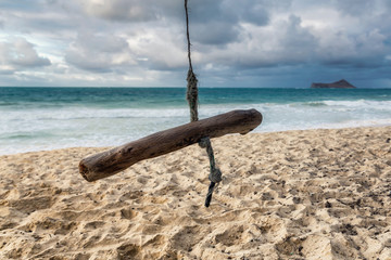 Wall Mural - Wooden swing on a tropical beach of Oahu island, Hawaii