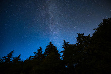 Milky Way Under The Night Sky Above The Forest