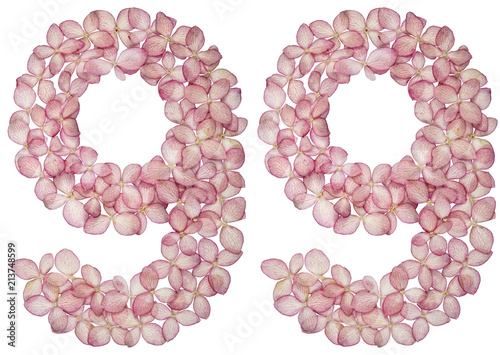 Photographie Arabic numeral 99, ninety nine, from flowers of hydrangea, isolated on white bac
