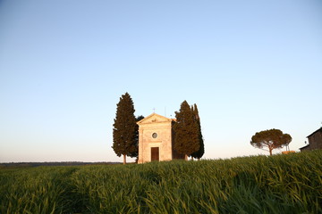 Wall Mural - Val d'orcia