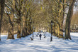 UK, England, London, Green Park in the snow