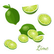 Lime with green leaves isolated on white background vector illustration