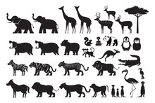 Wild Animals Silhouette Vector Set, Zoo, Safari, Front View And Side View