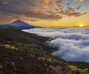 Wall Mural - spectacular sunset above the clouds in the teide volcano national park in tenerife