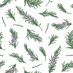 Poster - Herbal seamless pattern with rosemary sprigs on white background. Backdrop with blooming fragrant herb. Elegant vector illustration in vintage style for wrapping paper, fabric print, wallpaper.