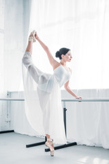 Wall Mural - side view of graceful flexible young ballerina practicing ballet in studio