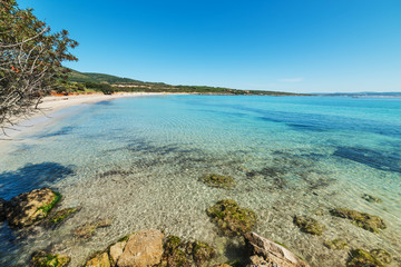 Clear water in Le Bombarde beach in Alghero shore