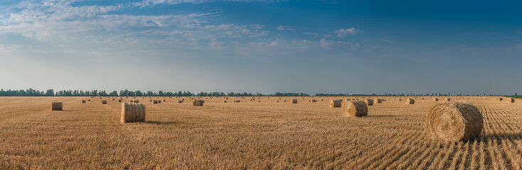 Wall Mural - Agricultural landscape with haystacks