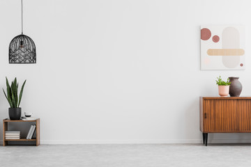 retro, wooden cabinet and a painting in an empty living room interior with white walls and copy spac