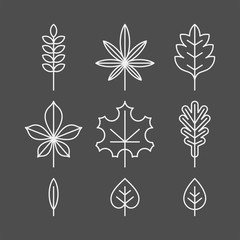 Wall Mural - Autumn leaves flat vector icons set. Tree leaves flat vector icons set