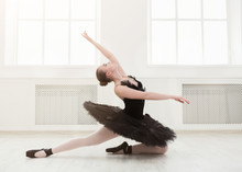 Beautiful Graceful Ballerina In Black Swan Dress