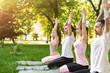 Group of people practicing yoga in park