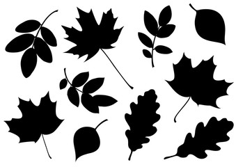 vector set of decorative autumn leaf silhouettes.