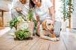 © rh2010 - Young lovely couple sitting together with their dog and fresh green vegetables at home