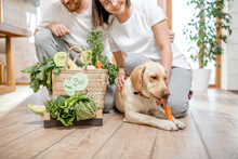 Young Lovely Couple Sitting Together With Their Dog And Fresh Green Vegetables At Home
