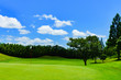 © show999 - landscape of japanese golf course in chiba (No1798)