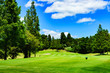 © show999 - landscape of japanese golf course in chiba (No1800)