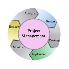 Project management