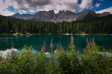 Wall Mural - Splendida veduta del lago di Carezza in Val d'Ega, Alto Adige