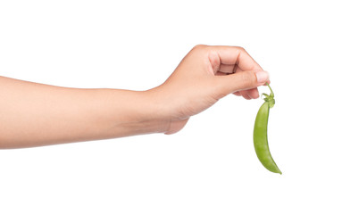 Canvas Print - hand holding string bean isolated on white background